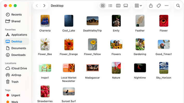 Dropping a folder of images from the desktop into Moodbase.
